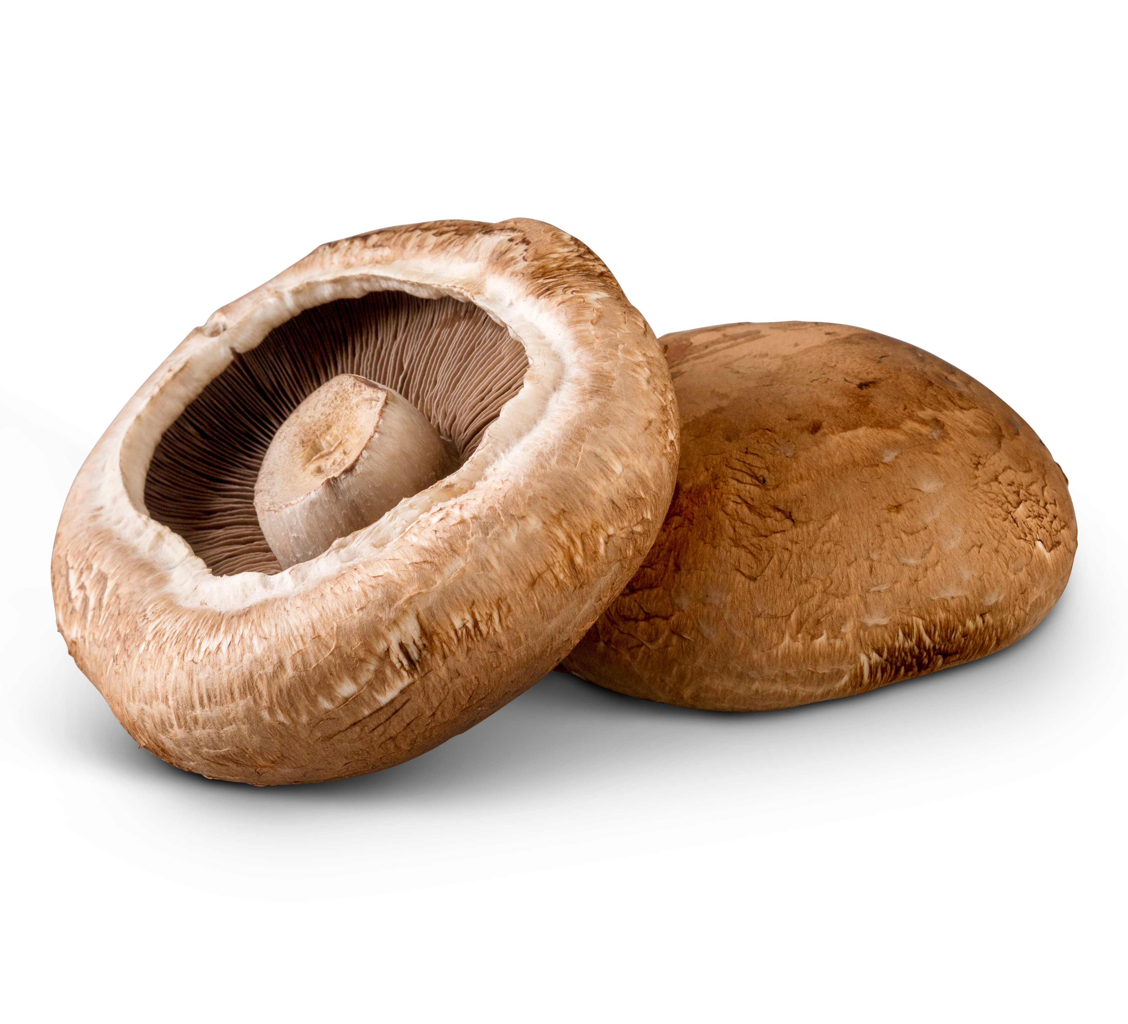 Brown Mushrooms Monterey Mushrooms